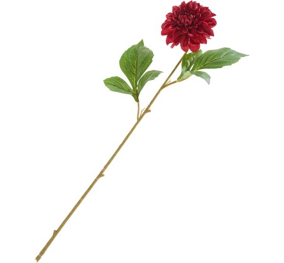 Dahlia "George Spray"