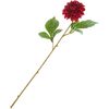 Dahlia "George Spray" Bordeaux