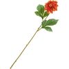 Dahlia "George Spray" Pomarańczowy