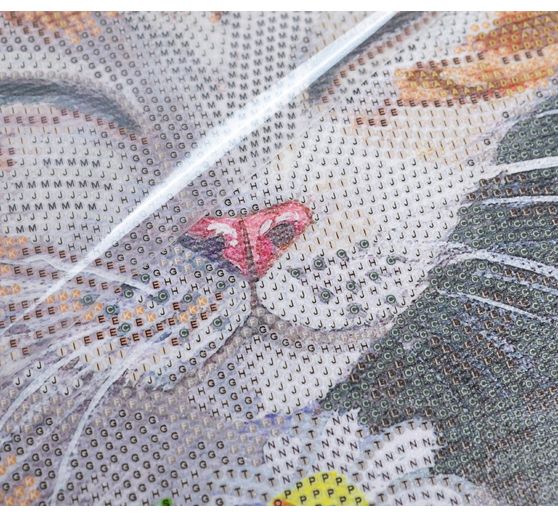Diamentowy obraz "Crystal Art Kit", 30 x 30 cm