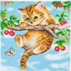 Diamentowy obraz "Crystal Art Kit", 30 x 30 cm Kitten