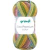 Gr&uuml;ndl Wool "Lisa Premium color" Colour 23