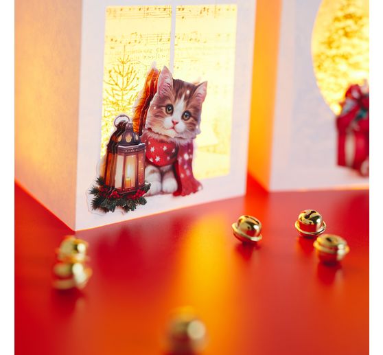 3D Punched sheet set "Furry Christmas"