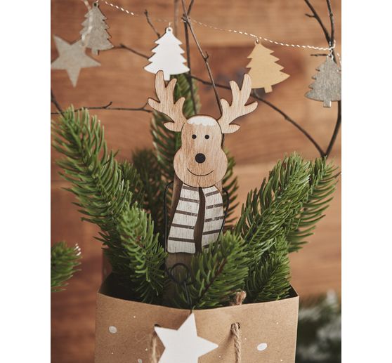 VBS Szlachetne gałęzie jodły "Eitra"