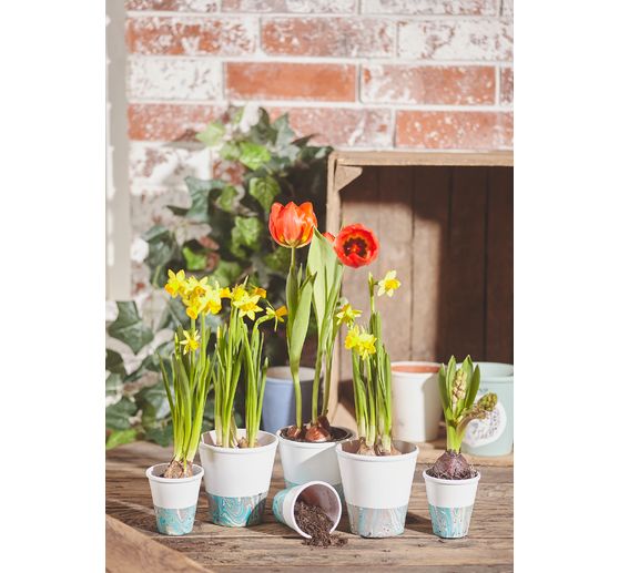 KREUL Magic Marble Colour for marbling