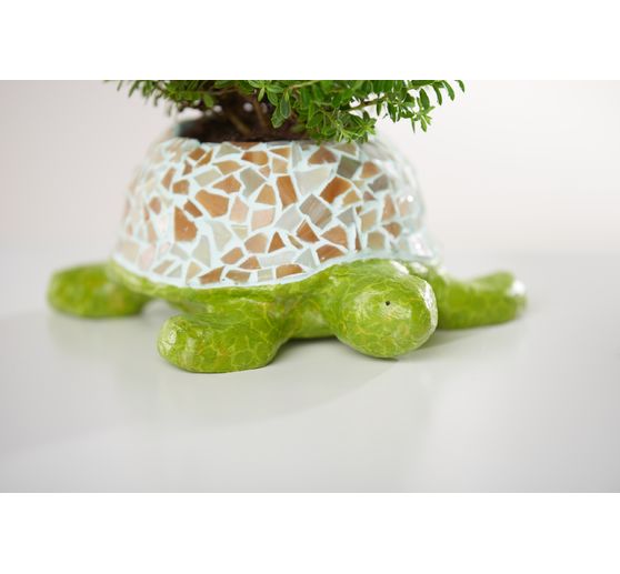 Złamana mozaika VBS