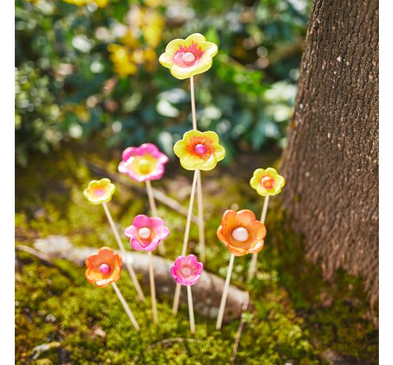 VBS Craft paint set "Colorful Live"