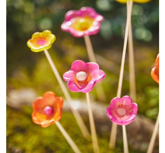 VBS Craft paint set "Colorful Live"