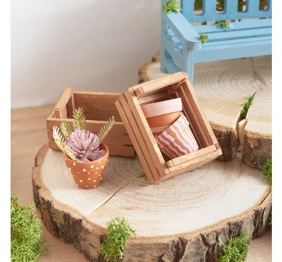 Inflorescence branch