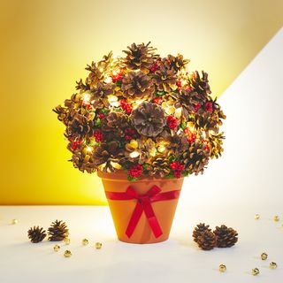 Leuchtende Natur-Deko aus Tannenzapfen