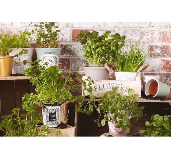 Doniczki na róże z terakoty, 3 szt.