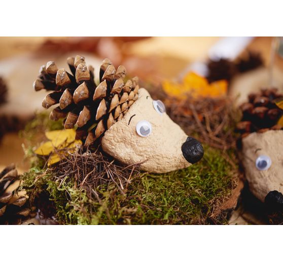 Szyszki sosnowe, naturalne