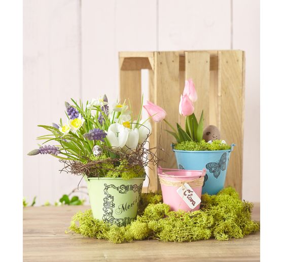 Mech islandzki VBS, 100 g