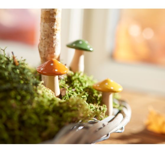 Mech w arkuszach, 50 g