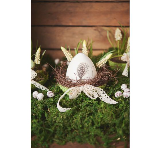 Wierzba dekoracyjna VBS