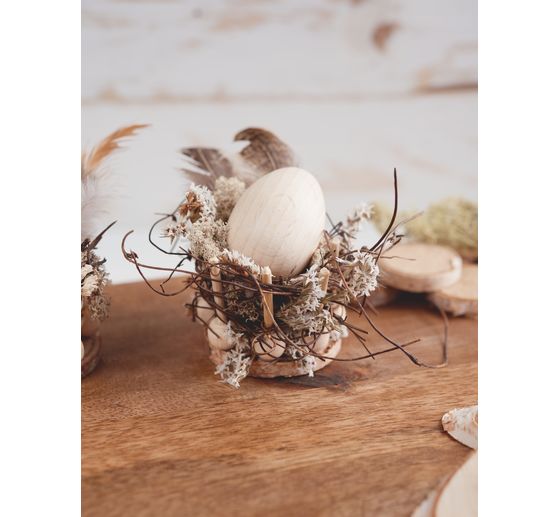 Wierzba dekoracyjna VBS