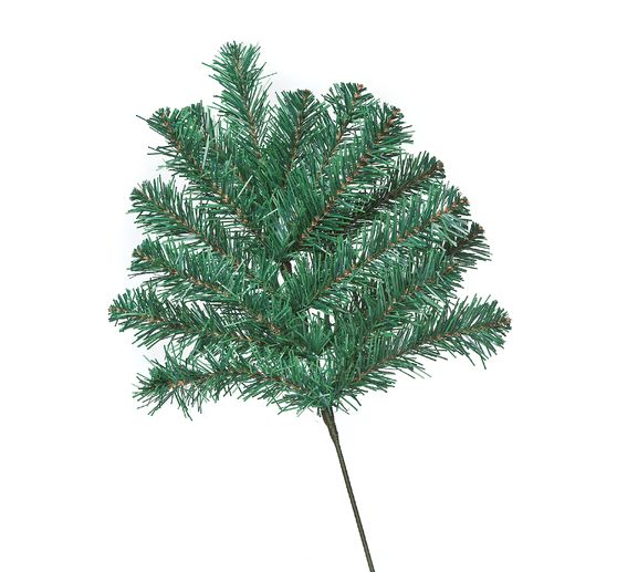 Jodłowy oddział VBS