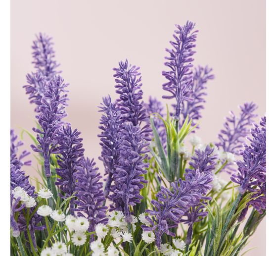 Kiście VBS Gypsophila "Florissa"