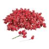 VBS Decorative berries with wire "Frosted", 200 pieces