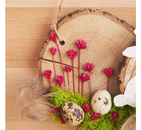 VBS Tree discs "Round"