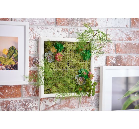 Mech islandzki VBS, 100 g