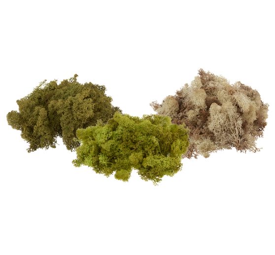 Mech islandzki VBS, 100 g