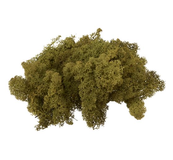 Mech islandzki VBS, 100 g