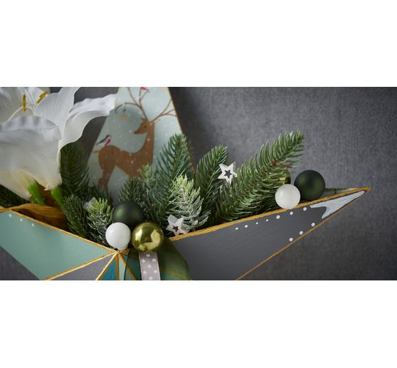 Gwiazda VBS z przegródką