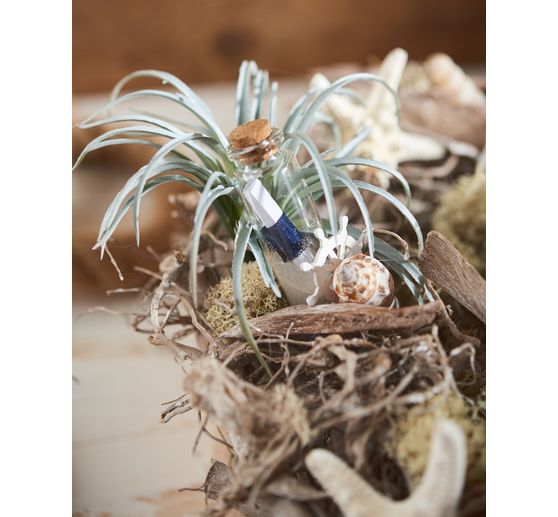 VBS Glass tubes with cork "7 cm", 24 pieces