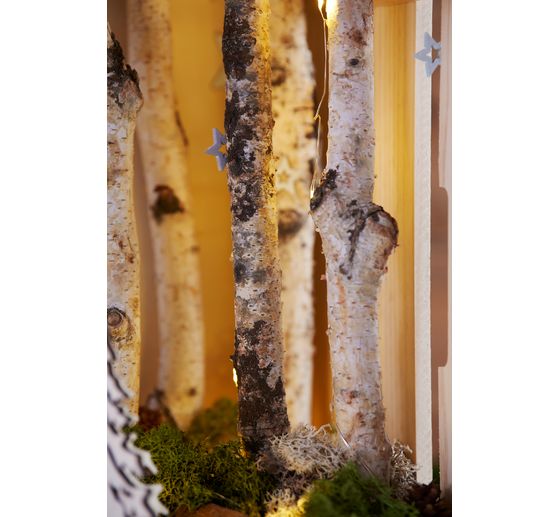 Gałęzie brzozowe VBS "Dalke", 10 szt.