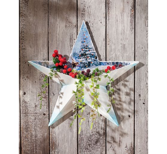 Gwiazda VBS z przegródką