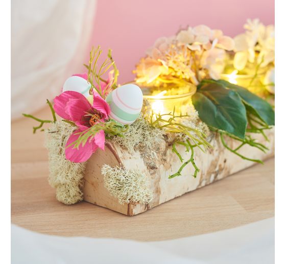 Hydrangea with two flowers