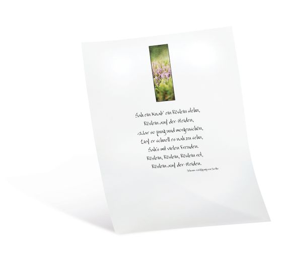 Papier przezroczysty, 10 arkuszy