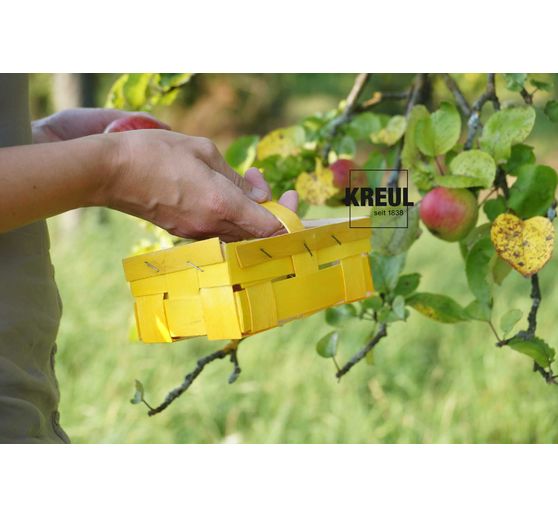 Bejca do bejcowania drewna, 50 ml