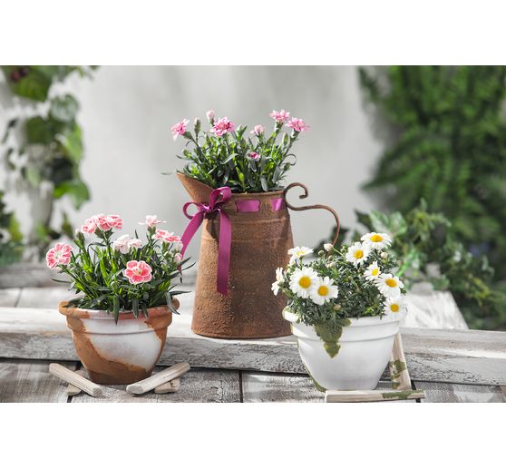 Easy rost Liquid, 50ml, rusty orange