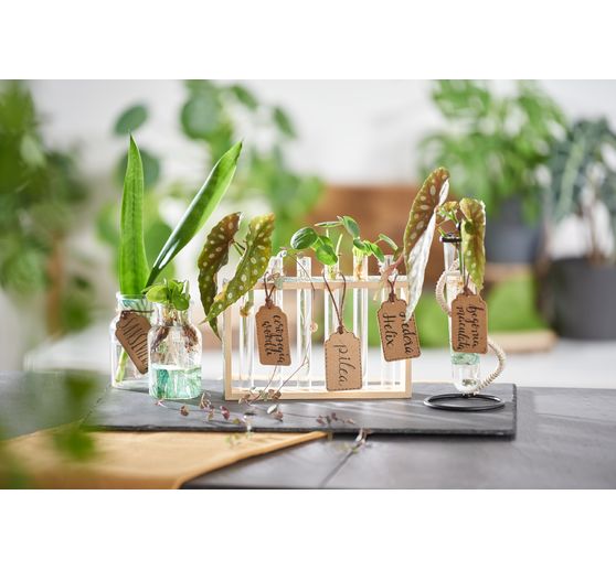 VBS Uchwyt na probówki "Waza"