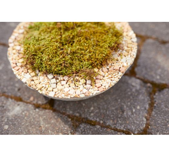 Planting bowl Florina, mud