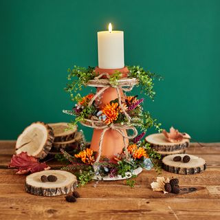 Fall "-etagere " with terracotta pots and birch slices